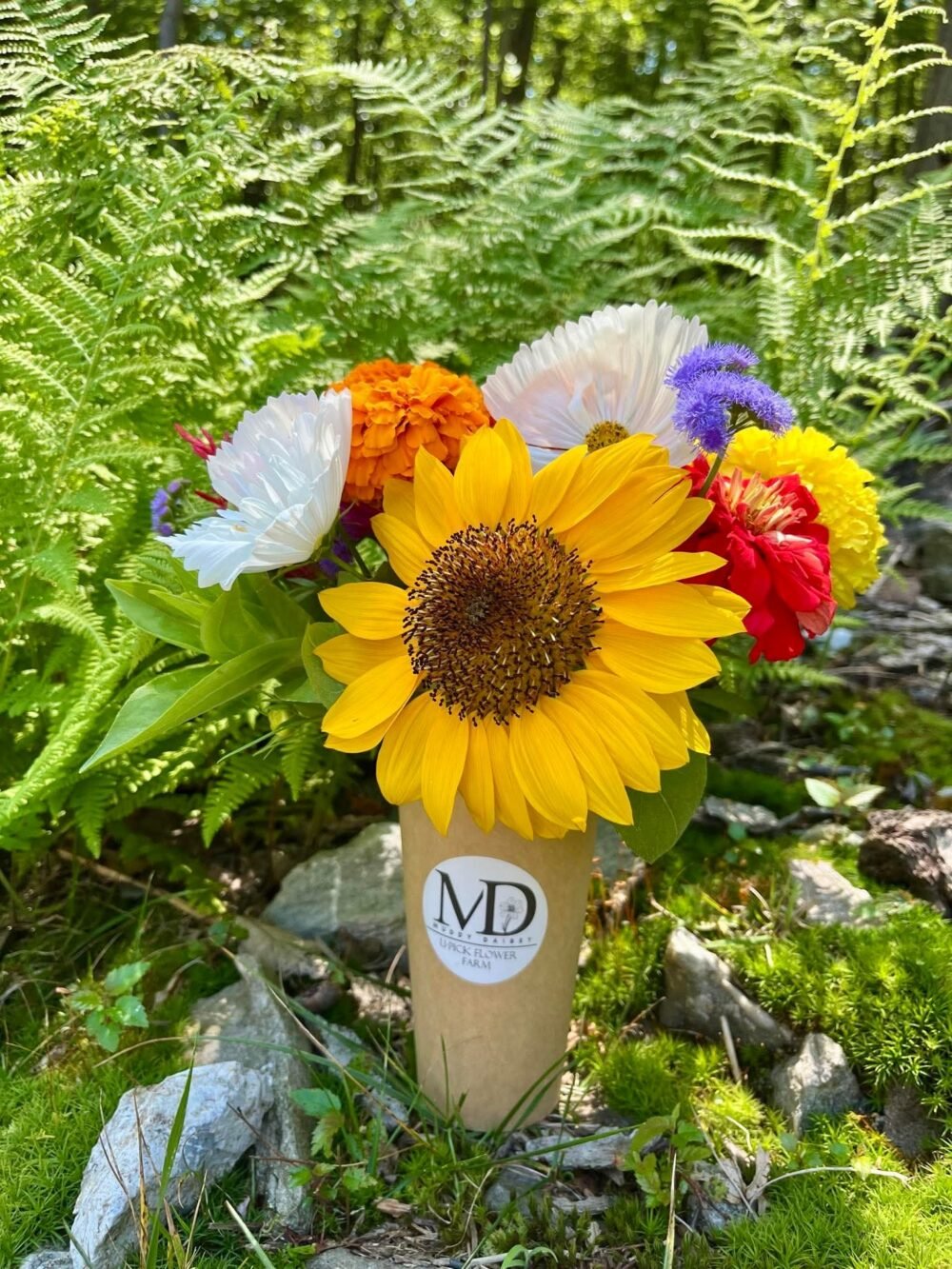 Pre-Order | Next Day Delivery | Cup Bouquet