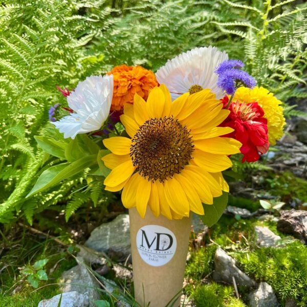 Pre-Order | Next Day Delivery | Cup Bouquet